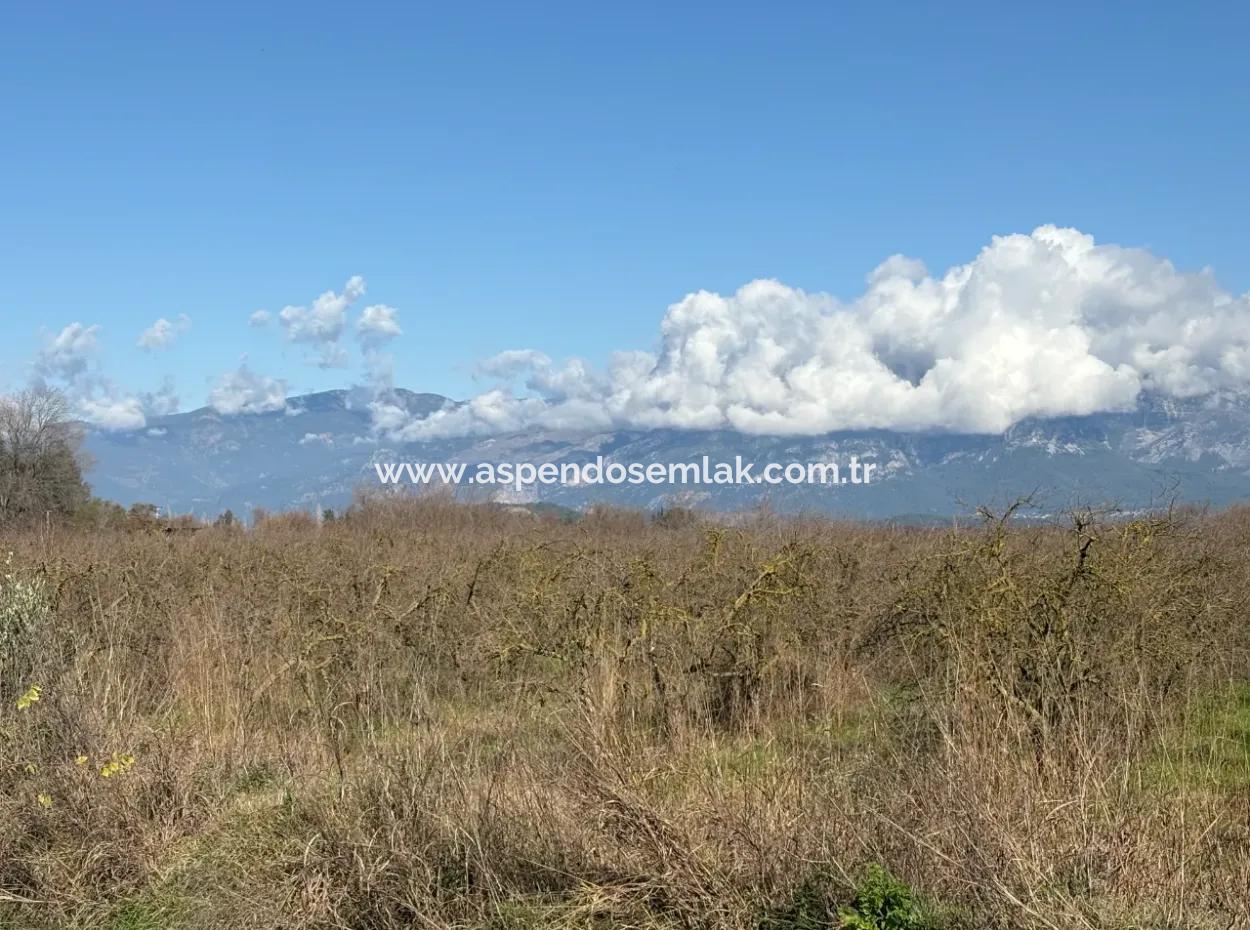 23.000M2 Freistehender Feldgarten Zum Verkauf In Tepearasin,