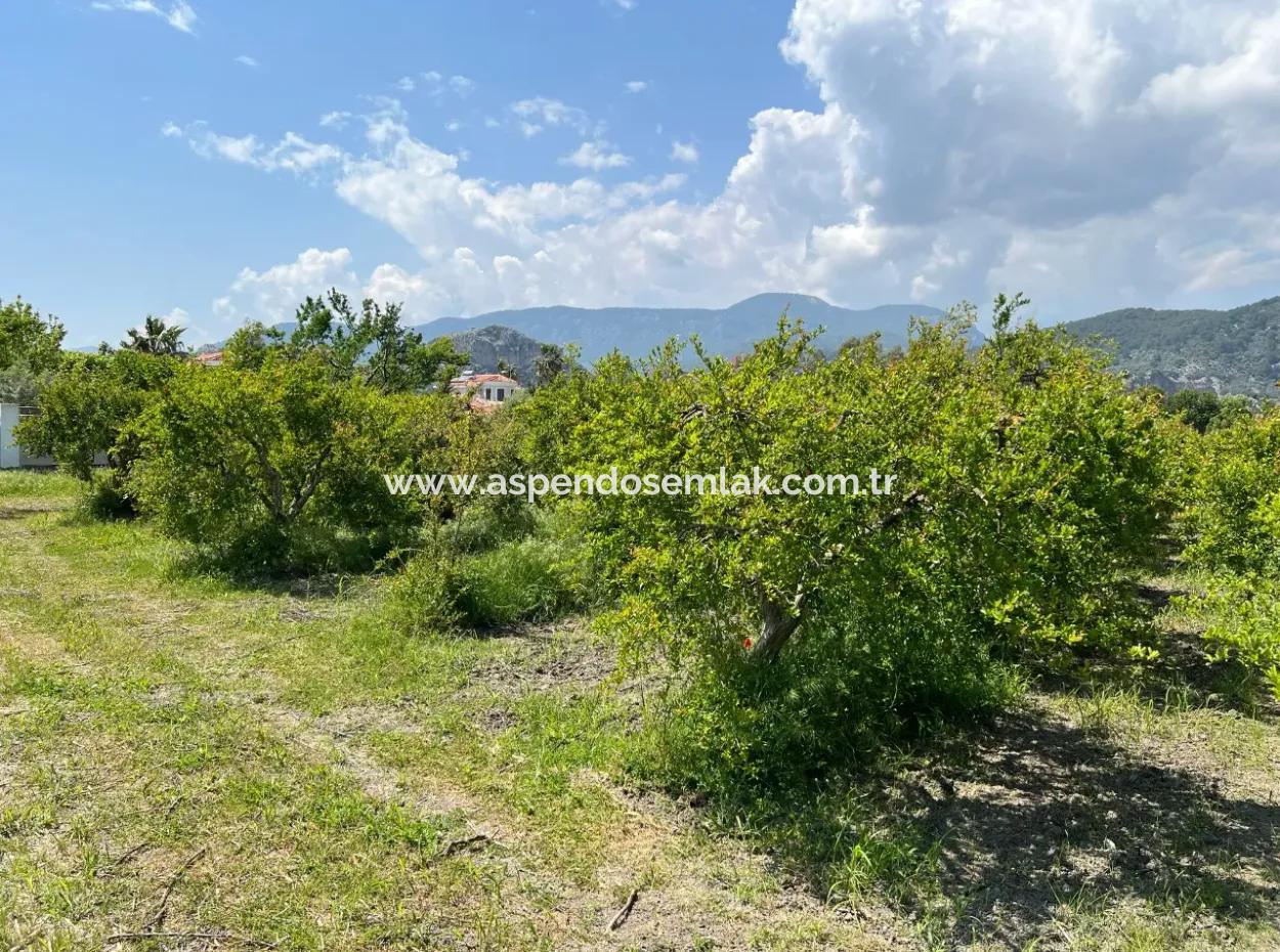 5.100 M2 Land Zum Verkauf In Der Gegend Von Dalyan Maraş Mit 5% Wohnzone