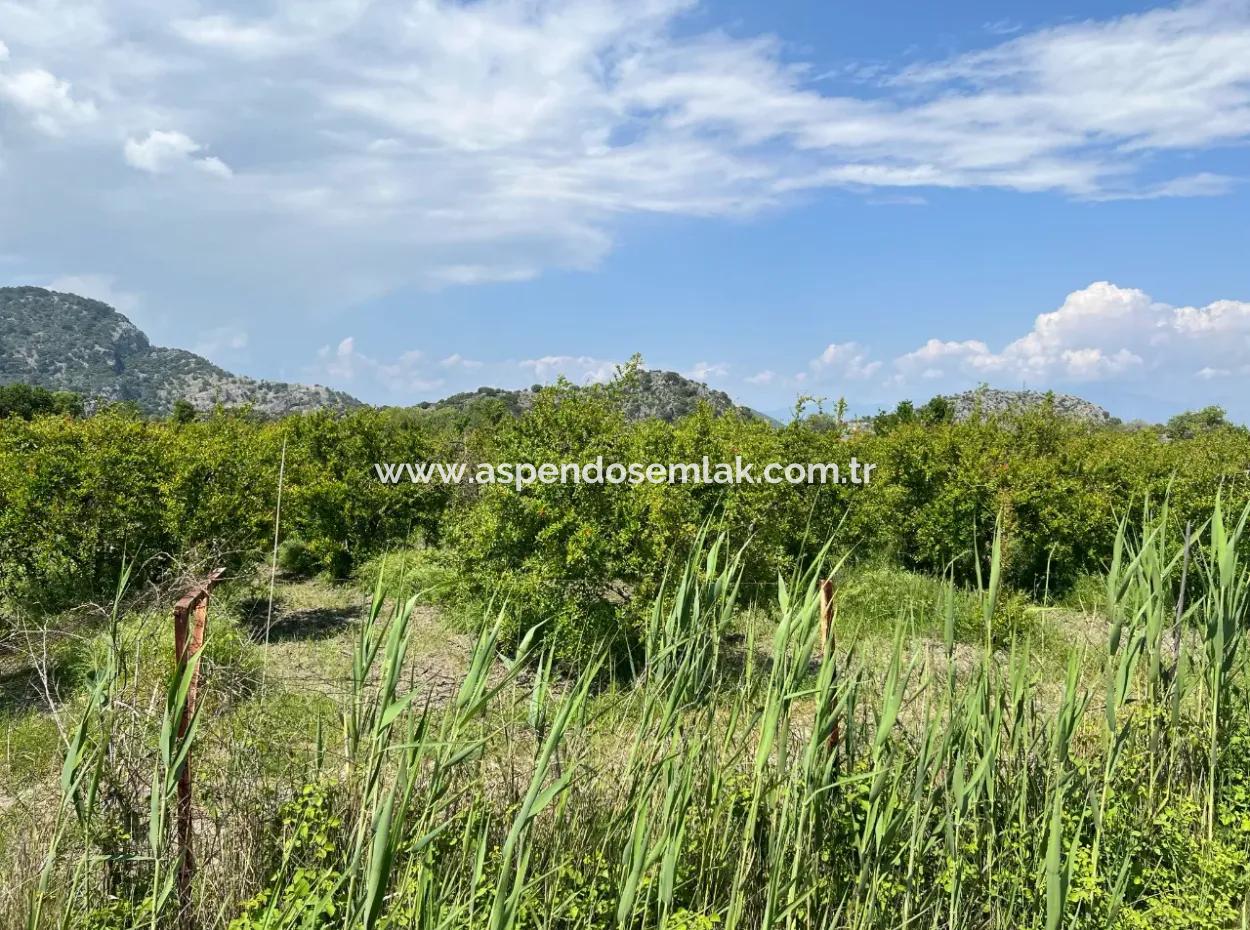 5.100 M2 Land Zum Verkauf In Der Gegend Von Dalyan Maraş Mit 5% Wohnzone