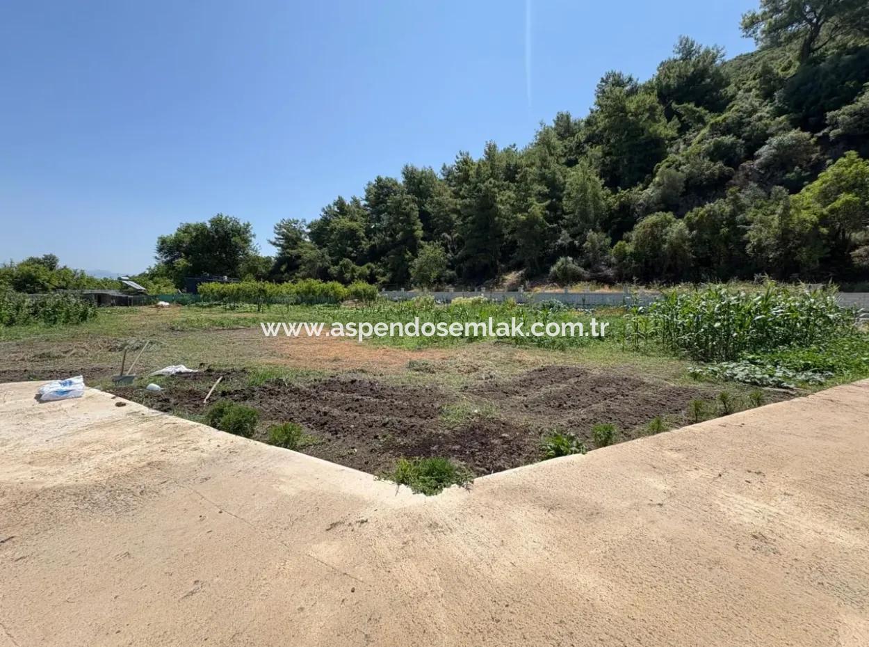 120M2 Freistehendes Holzhaus Auf Einem 2500M2 Großen Feld In Dalyan Karadağ