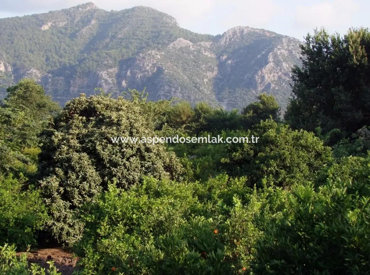 Nahe Dem Zentrum Von Dalyan In Dalyan Grundstück Für Verkauf Zum Verkauf 987M2