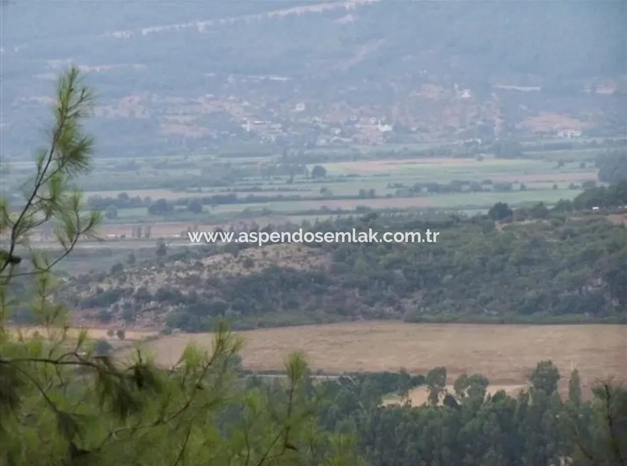 Gökçe Gökçe 21671M2 Bauernhof Zum Verkauf Zum Verkauf