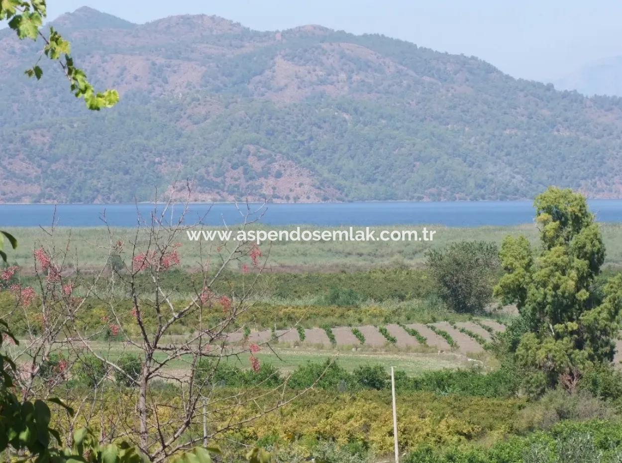 Bauernhof Zum Verkauf Bauernhof Zum Verkauf In Dalyan 73410M2