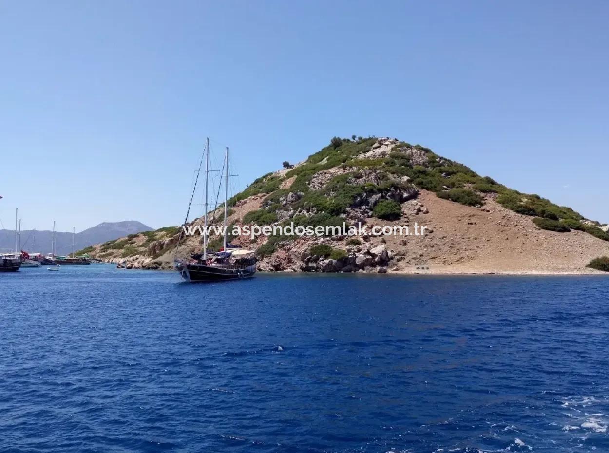 Benutzerdefinierte Dorf Am Meer Zu Verkaufen Villa Zum Verkauf In Osmanabad