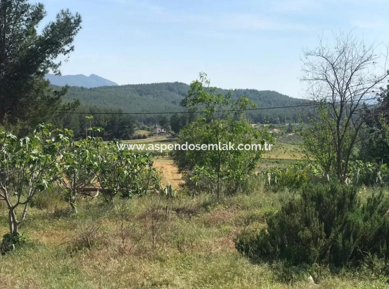 Ackerland Zum Verkauf In Seydikemer Korubuku 76000M2