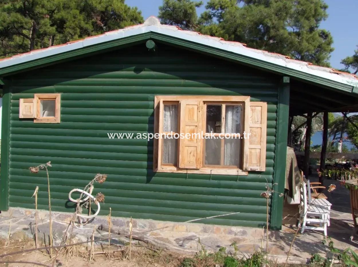 Beachfront Bungalow Zum Verkauf In Akbuk, Die Durch Das Meer Auf Einem Grundstück Von 800M2-Villa Zum Verkauf Turnalı