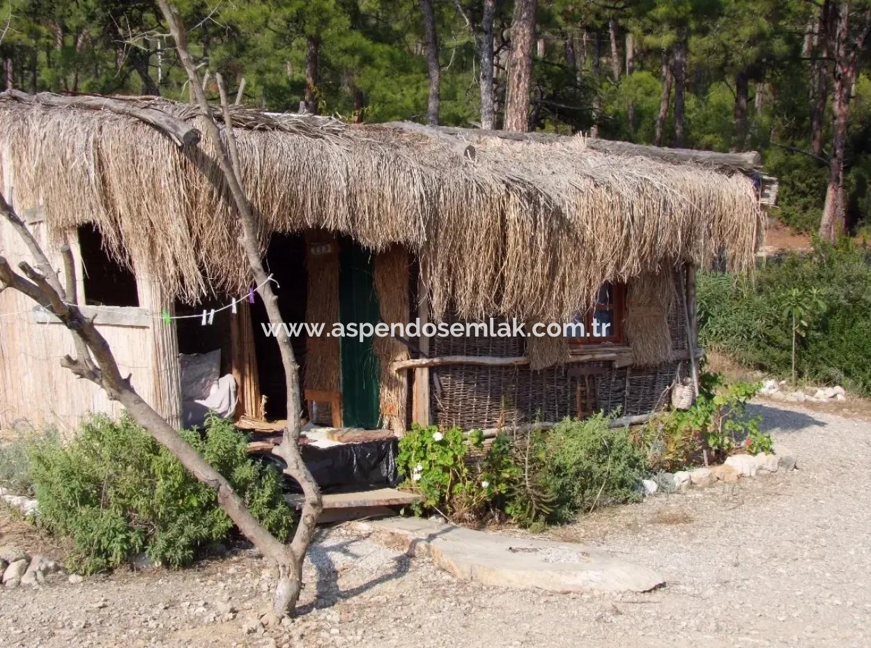 Beachfront Bungalow Zum Verkauf In Akbuk, Die Durch Das Meer Auf Einem Grundstück Von 800M2-Villa Zum Verkauf Turnalı