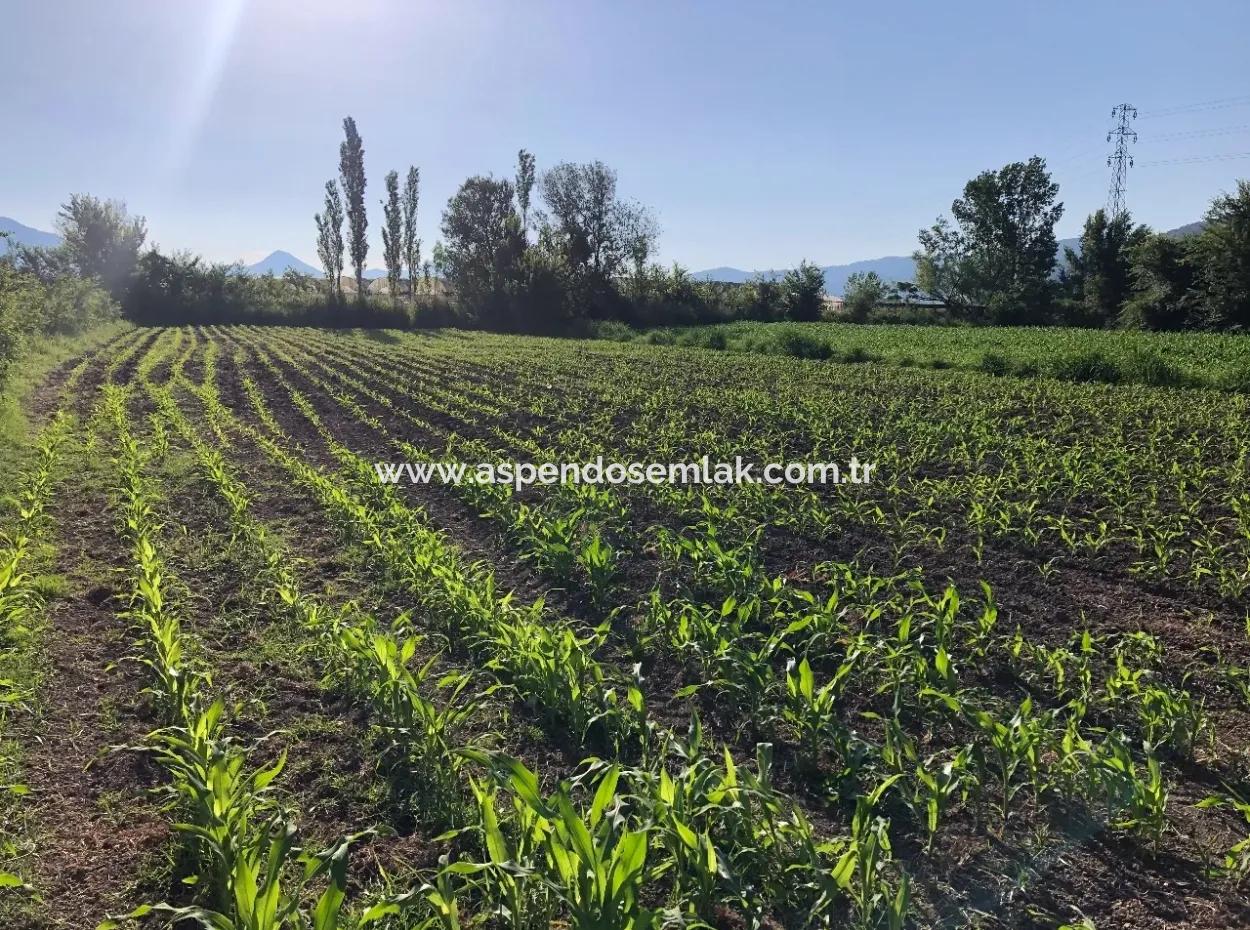 2200M2 Grundstück Zum Verkauf In Dalyan Zum Verkauf In Dalyan