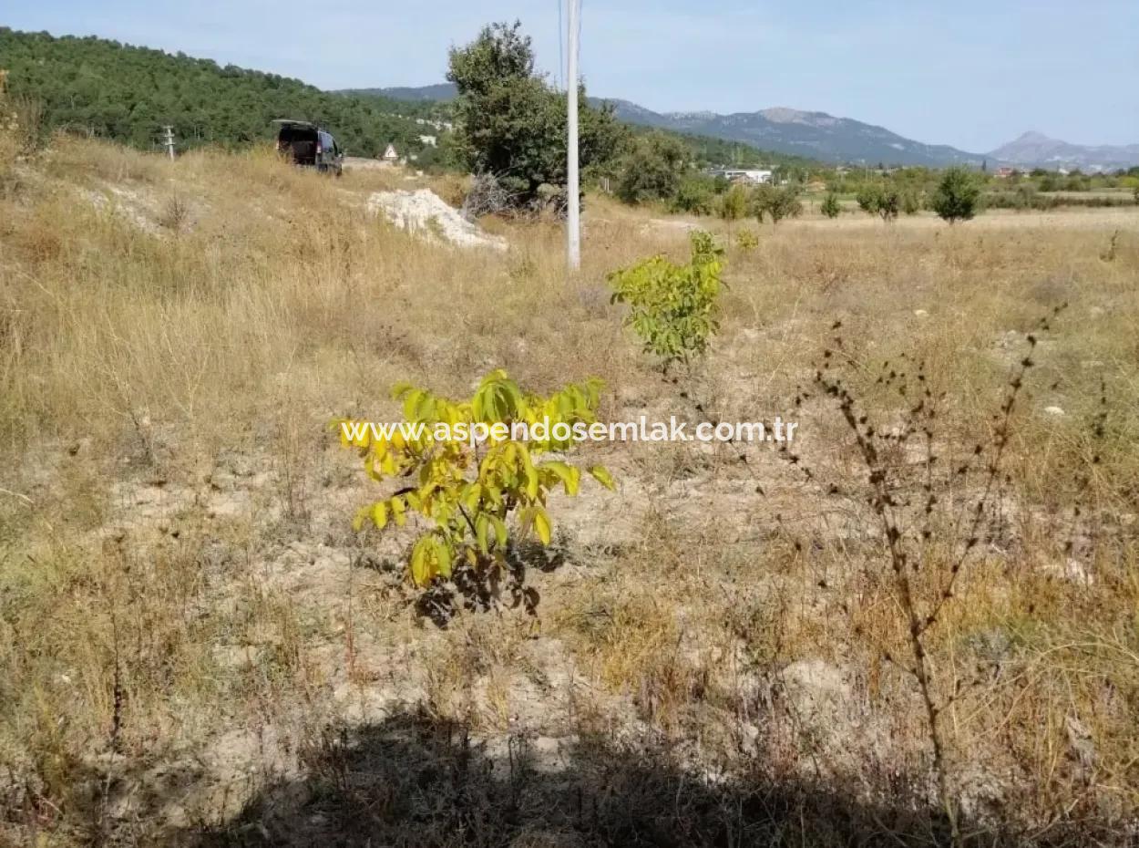 Zum Verkauf In St John ' S, Stichi Grundstück Zum Verkauf Null-In Auf Dem Weg 1562M2