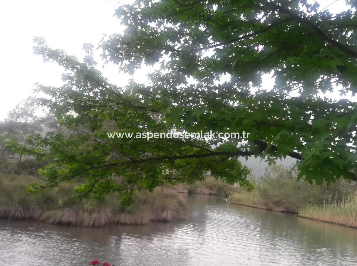 Land Zum Verkauf In 'Aml'da Marmaris 'Aml'da Meerblick 11720M2 Land Zu Verkaufen