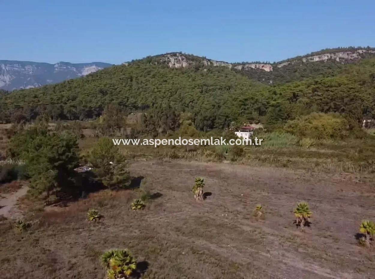 Land Zum Verkauf In 'Aml'da Marmaris 'Aml'da Meerblick 11720M2 Land Zu Verkaufen