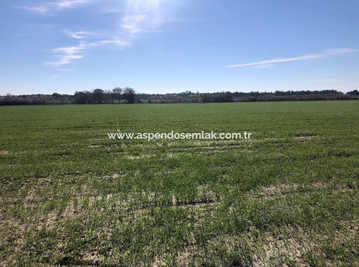 Land Zu Verkaufen In Sar'germede 30.000M2 Land Zum Verkauf Mit Meerblick