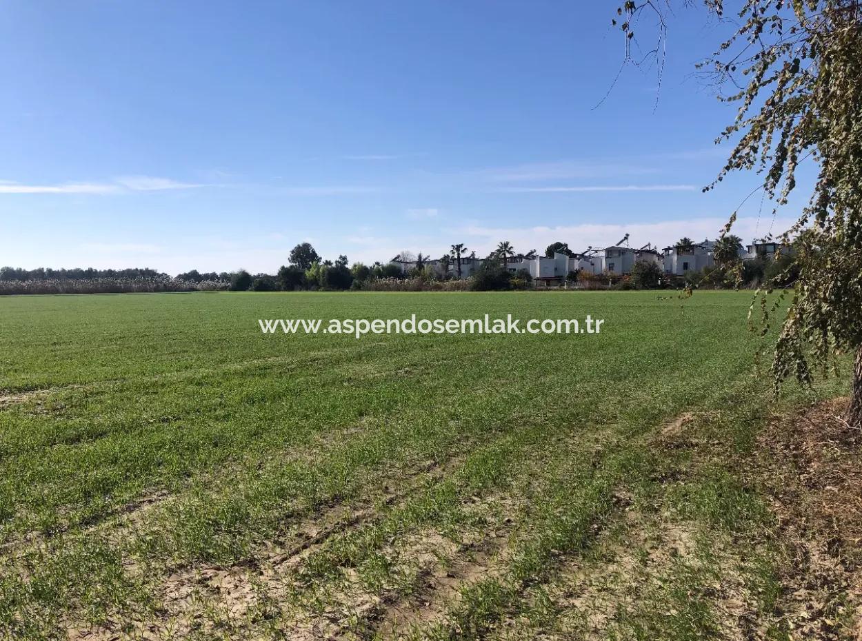 Land Zu Verkaufen In Sar'germede 30.000M2 Land Zum Verkauf Mit Meerblick