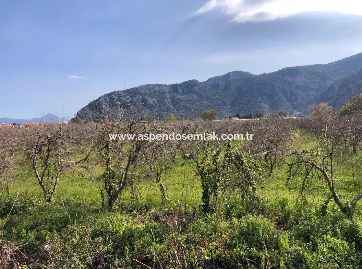 5500M2 Grundstück Zu Verkaufen In Dalyan