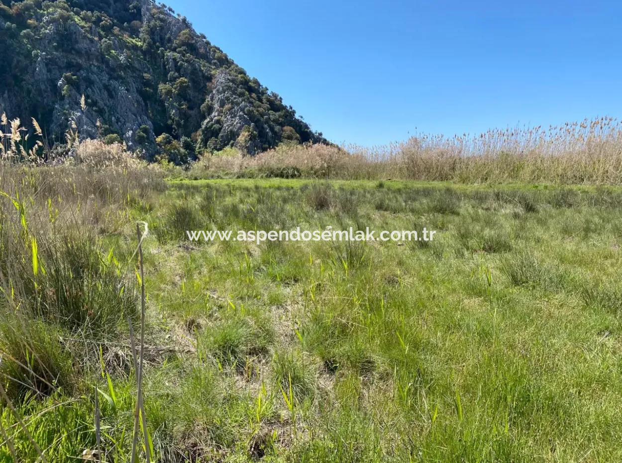 9310M2 Grundstück Zu Verkaufen In Dalyan