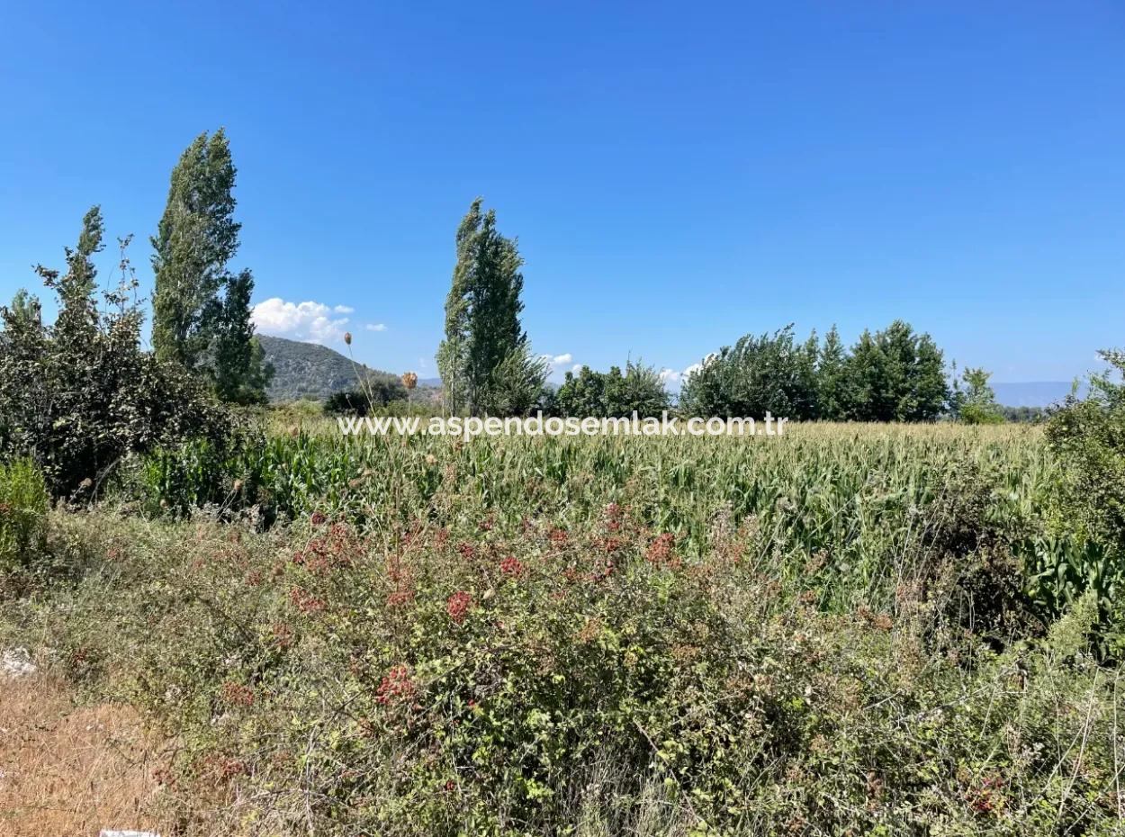 Dalyan Hauptstraße Null Grundstück Zum Verkauf 8115M2 Gewerbegrundstück Zum Verkauf