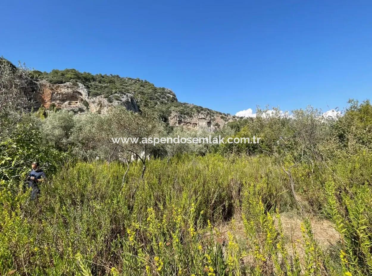 Çandır Kanal Front 2765M2 Einfamilienhaus Zu Verkaufen