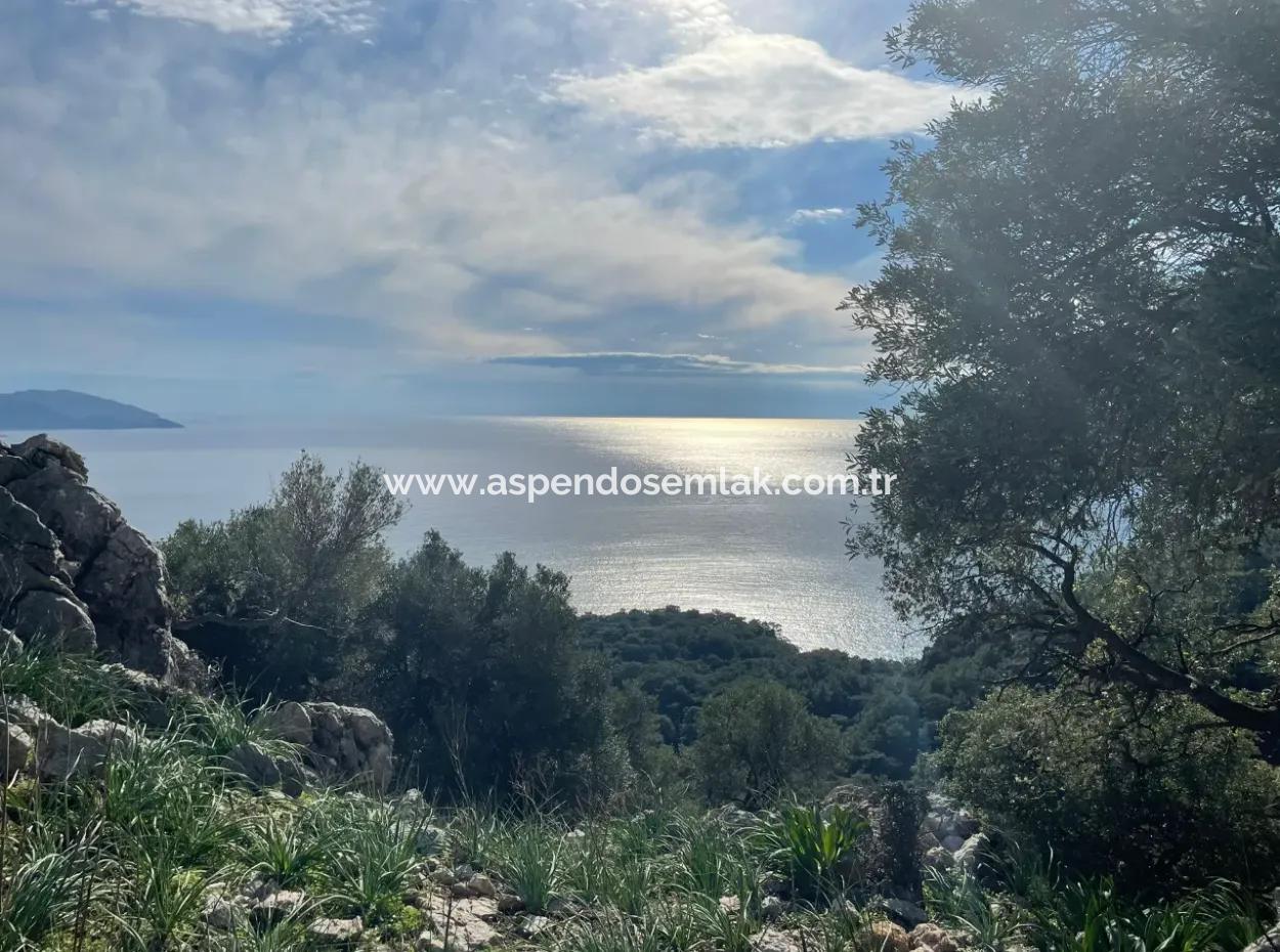 8.900M2 Feld Zum Verkauf Mit Vollem Meerblick In Ekincik