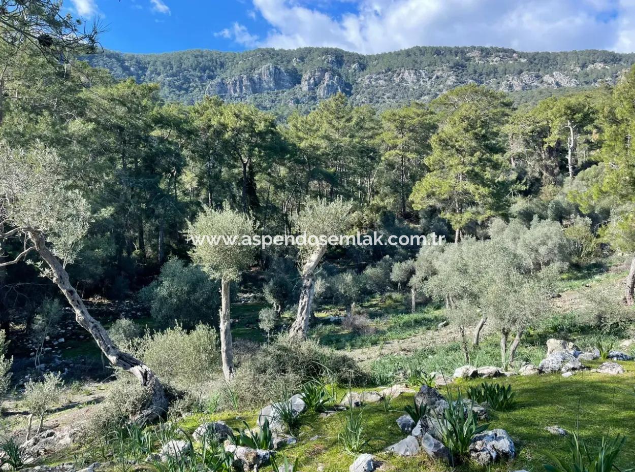4000M2 Feld Zum Verkauf Mit Seeblick In Çandir