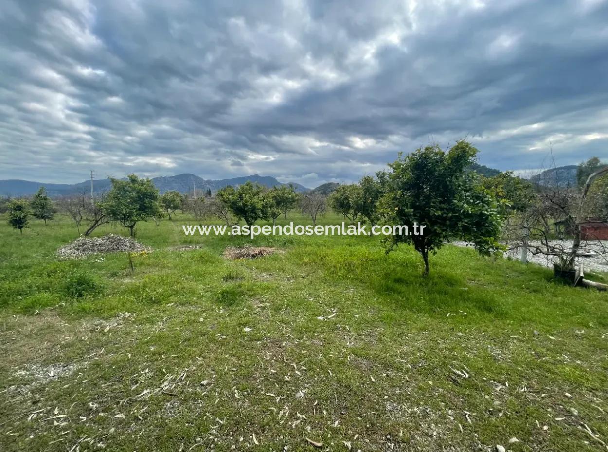 Dalyan Boutique Hotel Zum Verkauf Bungolevler Zum Verkauf In 11.000M2 Grundstück