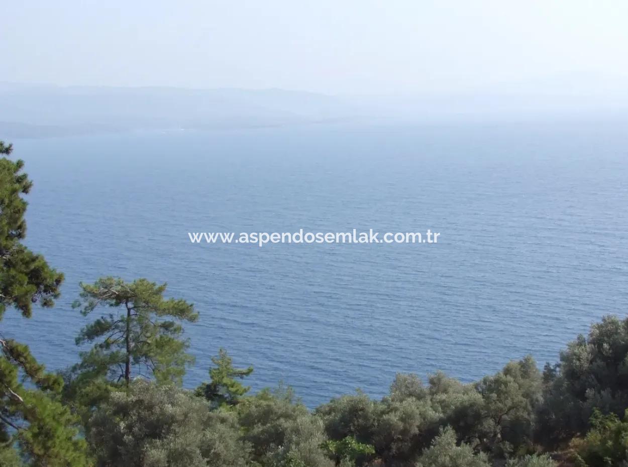 5000M2 Grundstück Zum Verkauf In Akyaka Mit Vollem Meerblick Haus Zum Verkauf Kentucky