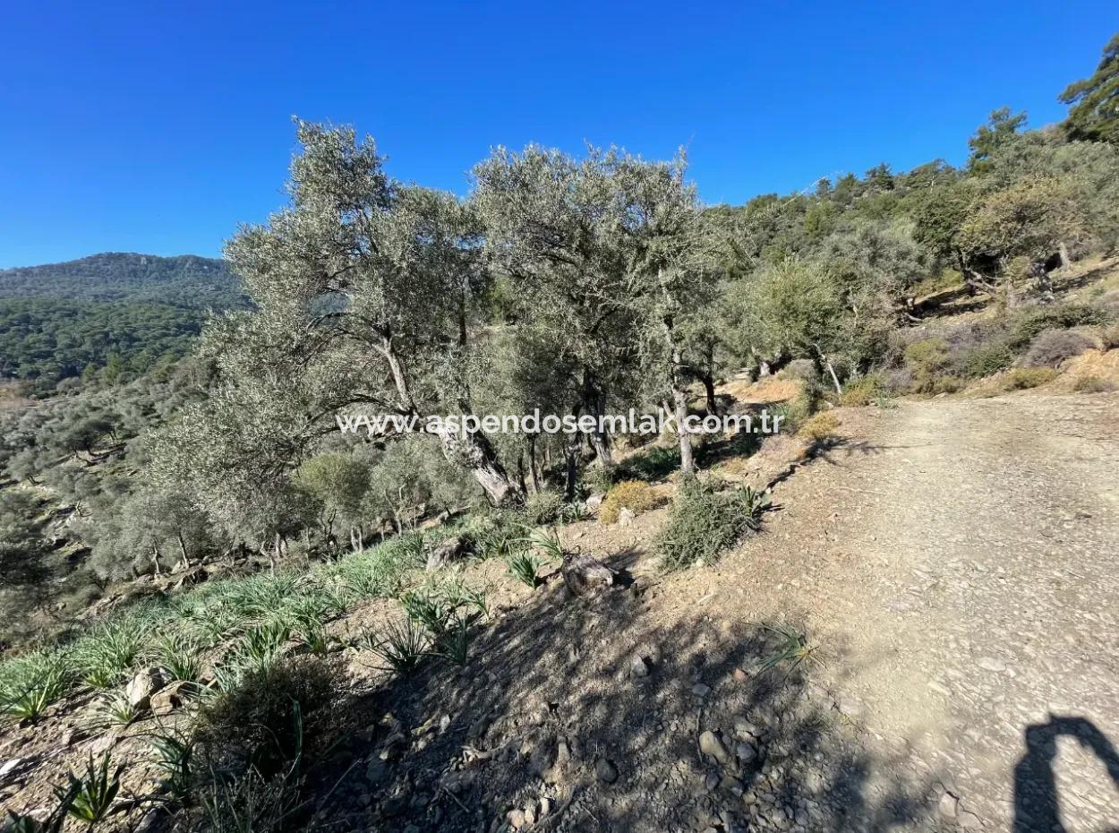 950M2 2B Feld Zum Verkauf Mit Meer- Und Seeblick In Çandır