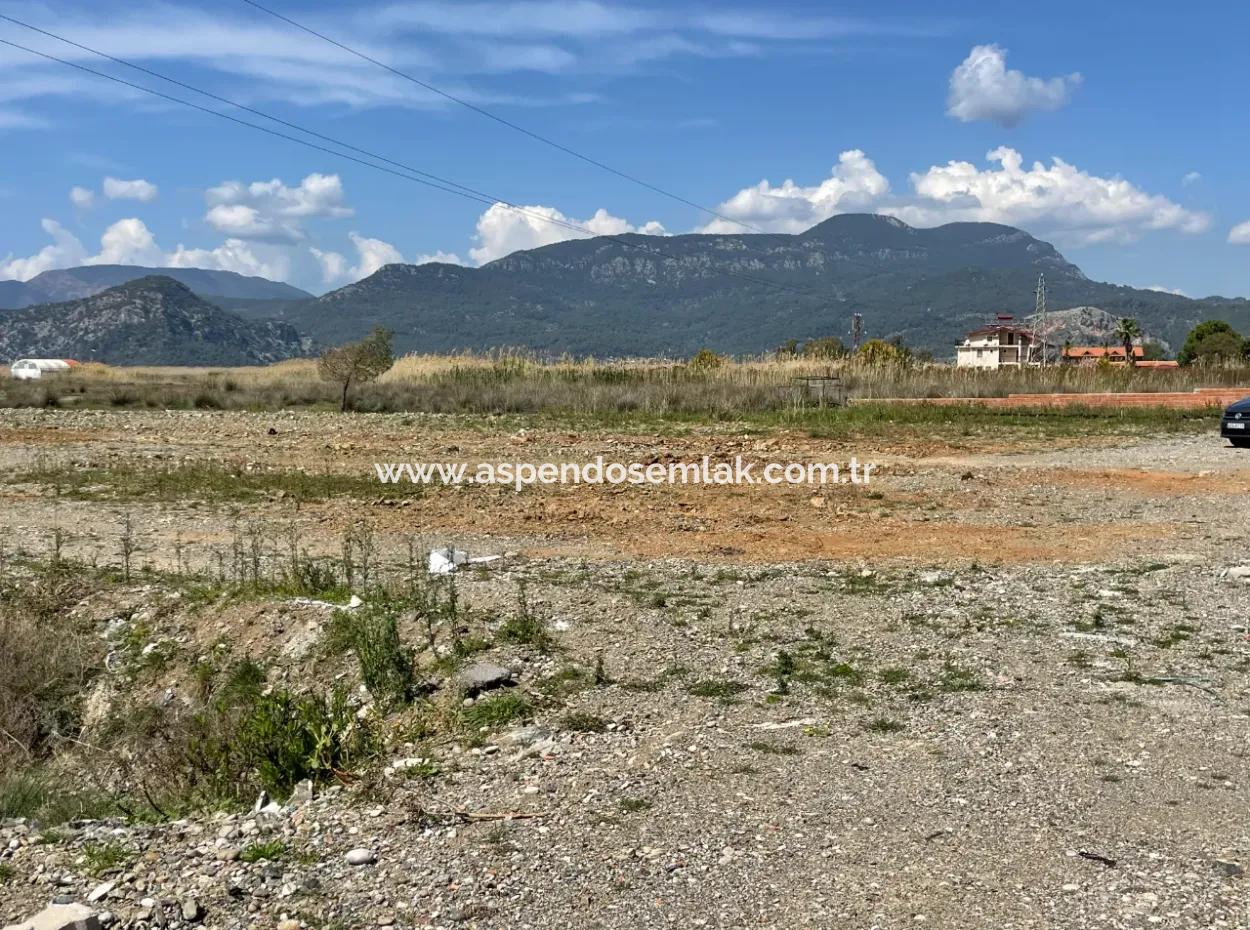 Dalyan Iztuzu Strand Straße Null 19.600M2 Feld Land Zum Verkauf