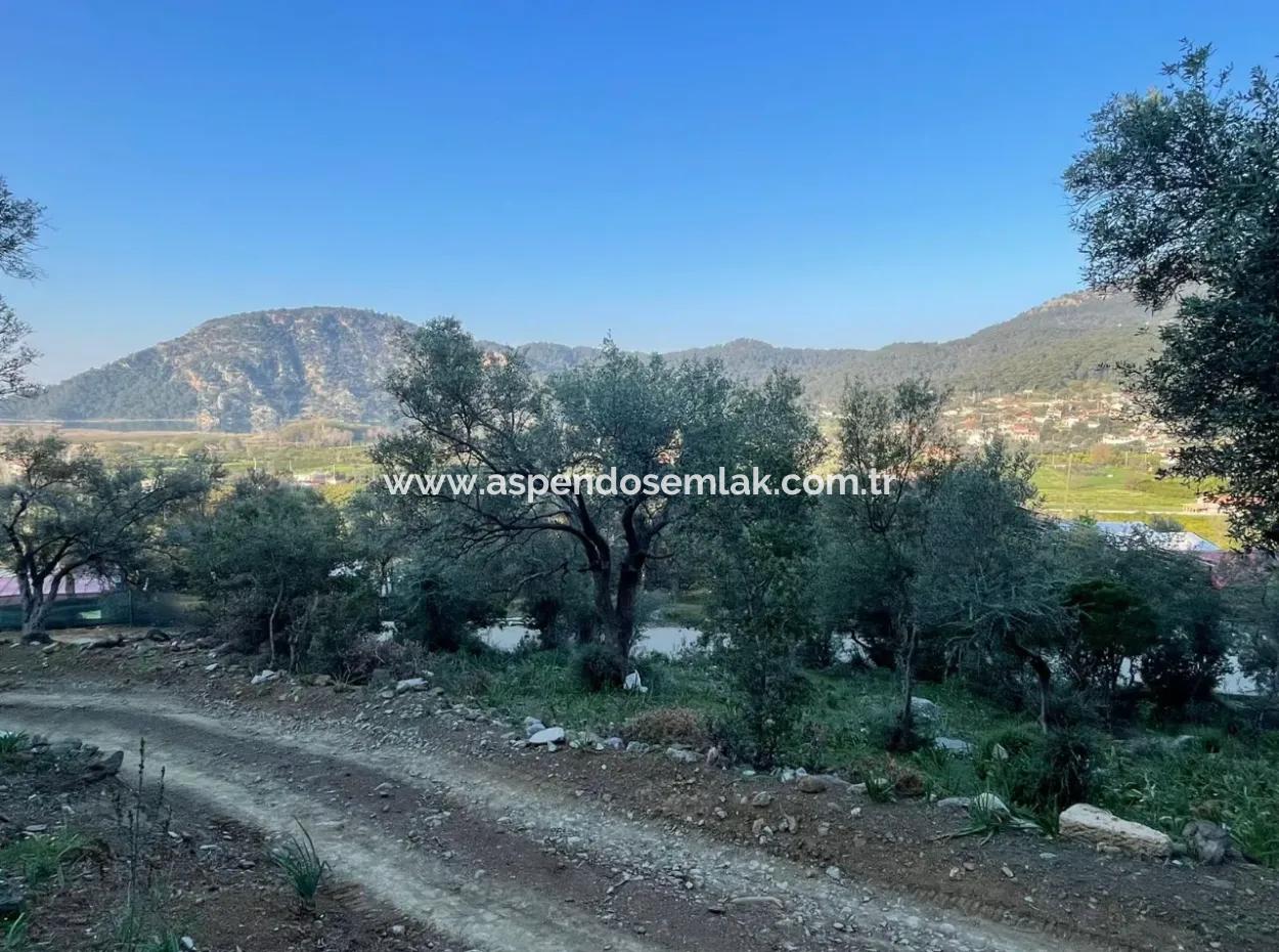 Çandır See Meerblick 2.806M2 2B Feld Zum Verkauf