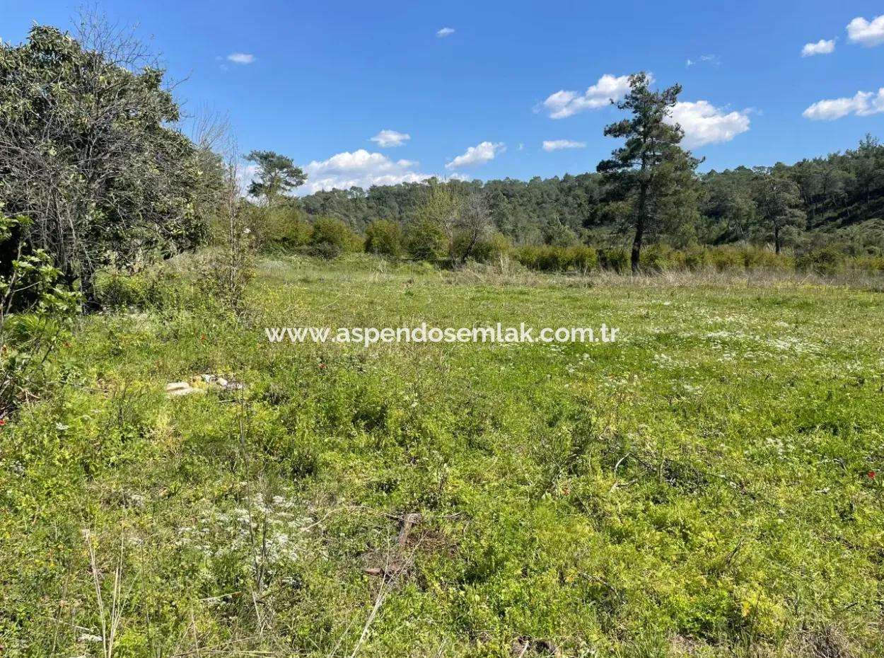 Mehrfamilienhaus Zum Verkauf In 5650M2 Feld In Zeytinalann