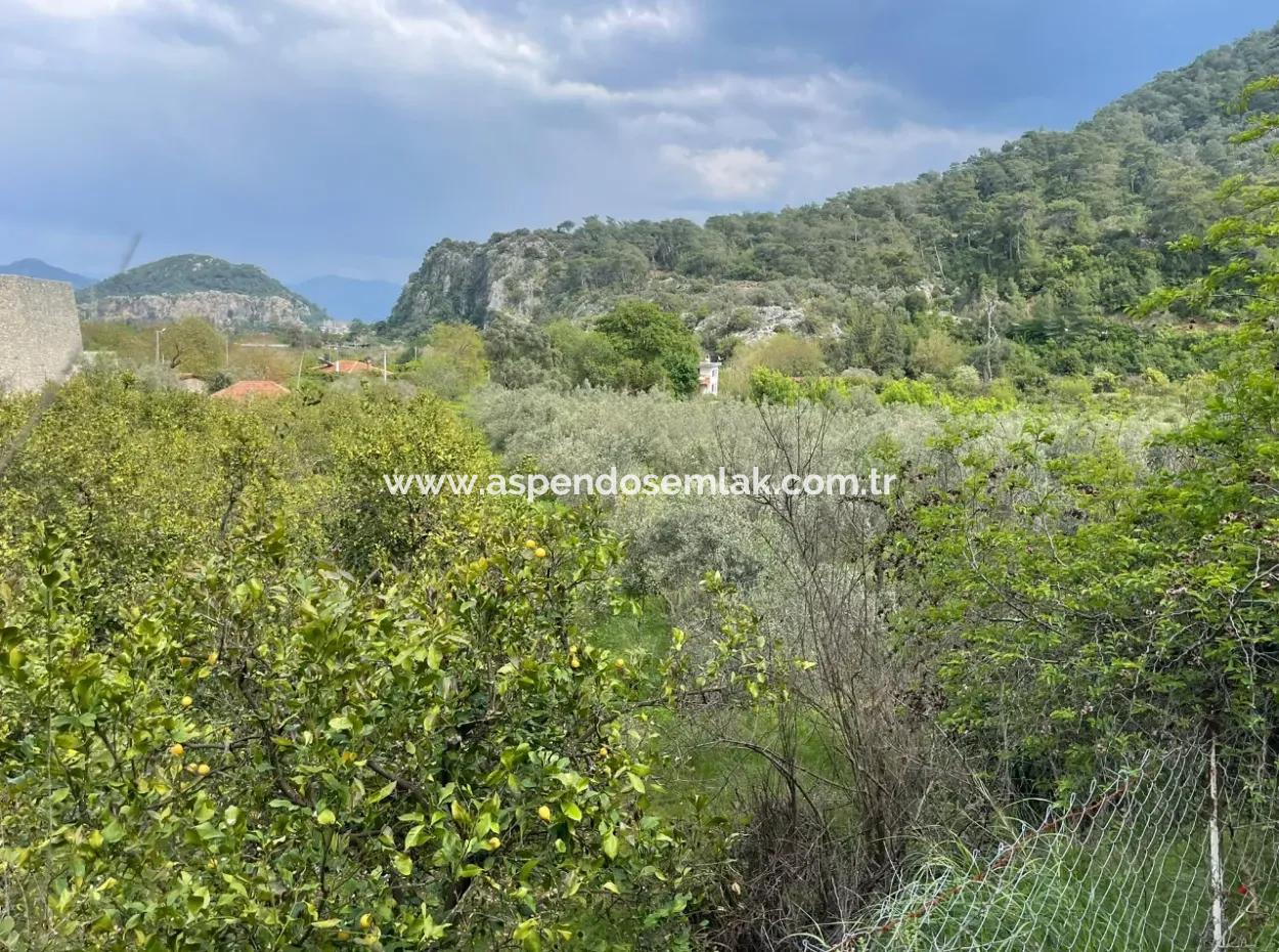 5000M2 Feld Zum Verkauf Am Anfang Der Straße In Çandır