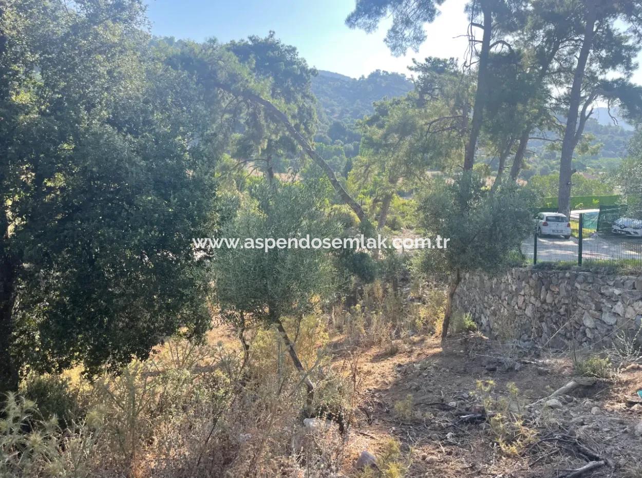 1.320M2 Feld Zum Verkauf Im Zentrum Von Çandır Am Wald