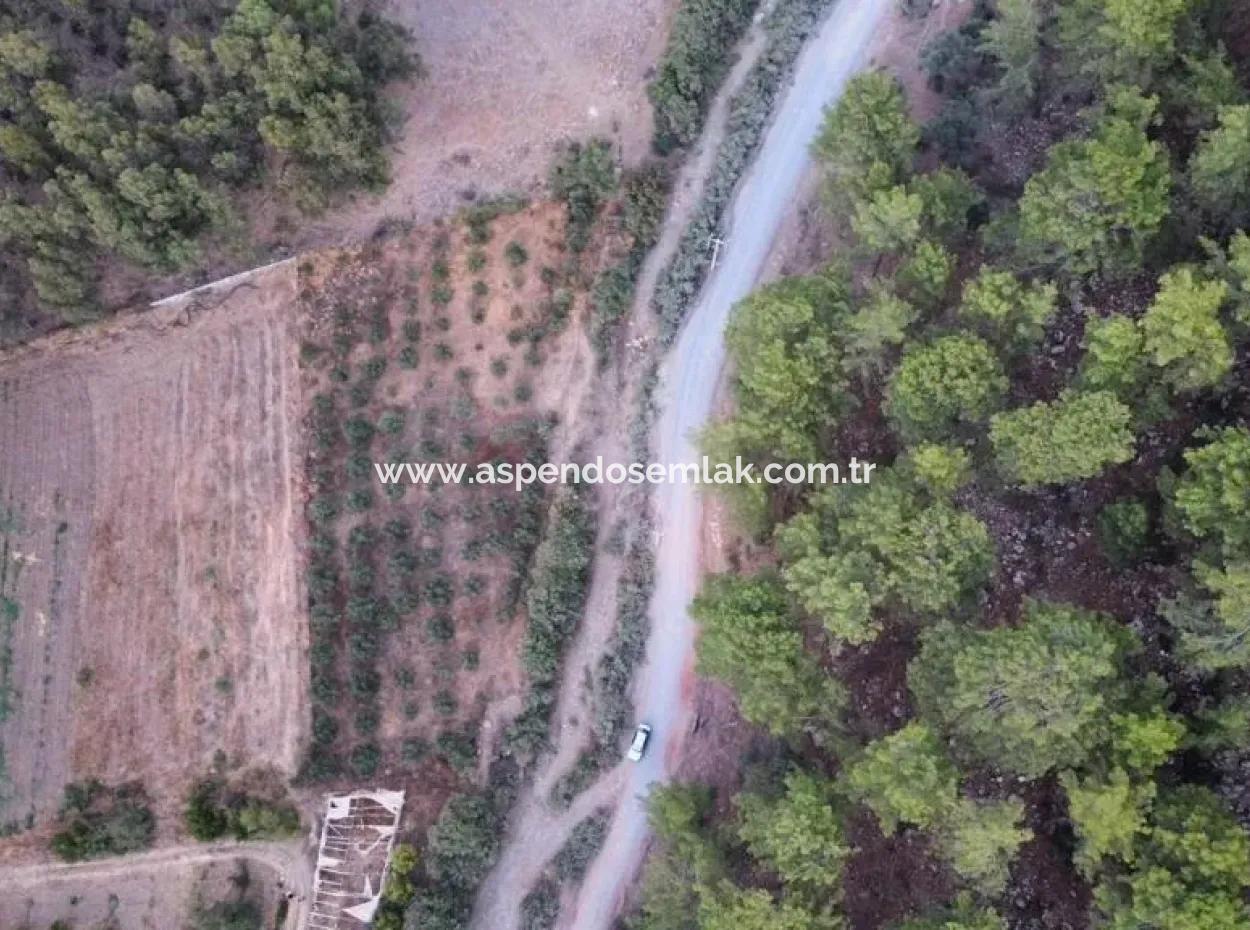 3578M2 Feld Zum Verkauf An Der Straße Von Aşı Koyu In Mergenlide