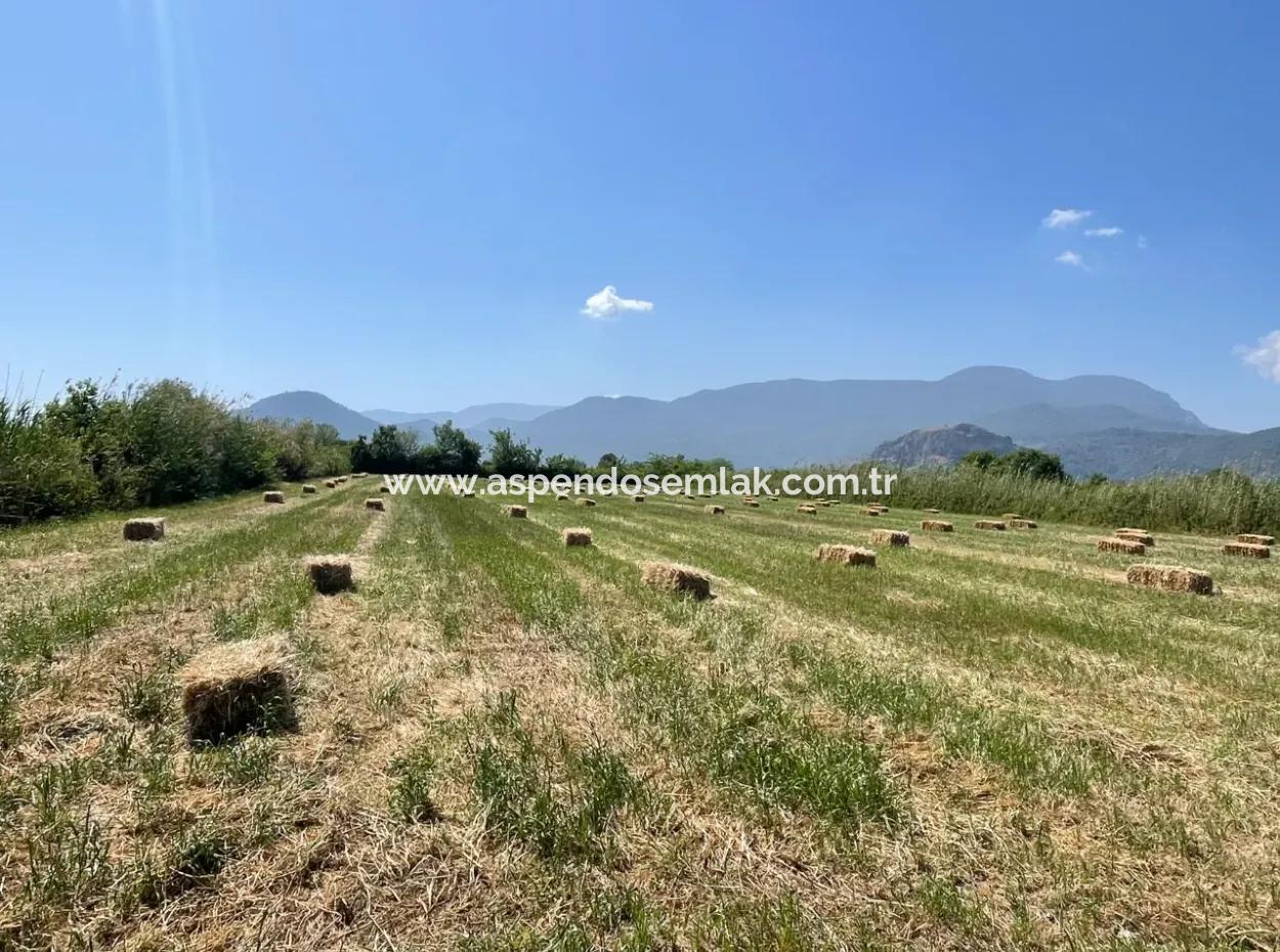 6.500 M2 Feld Zum Verkauf An Der Iztuzu-Straße In Dalyan