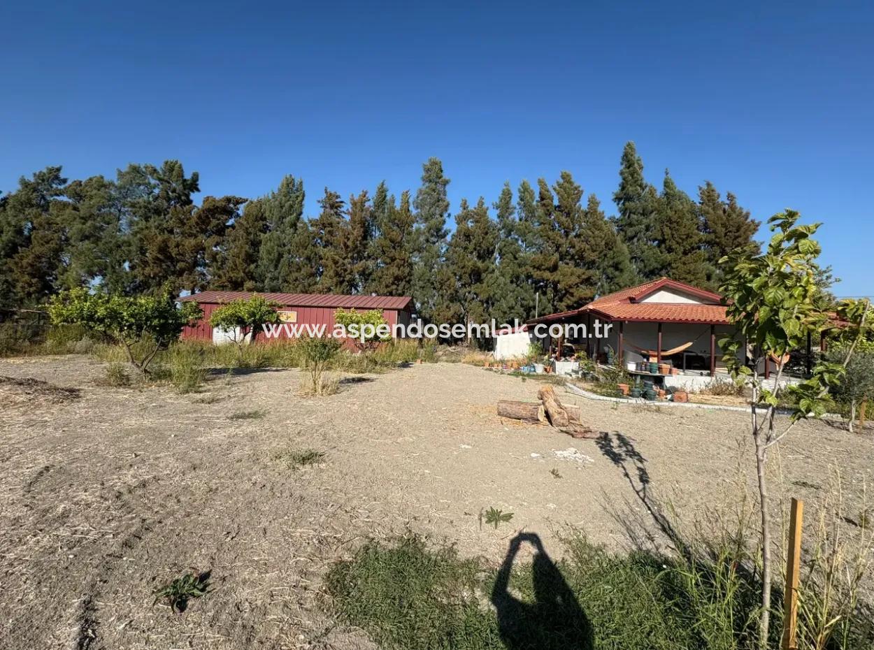 19.663M2 Ackerland Und Haus Zum Verkauf In Eskiköy