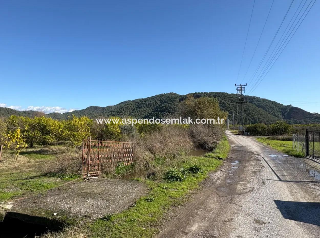 23,000M2 Detached Field Garden For Sale In Tepearasin,