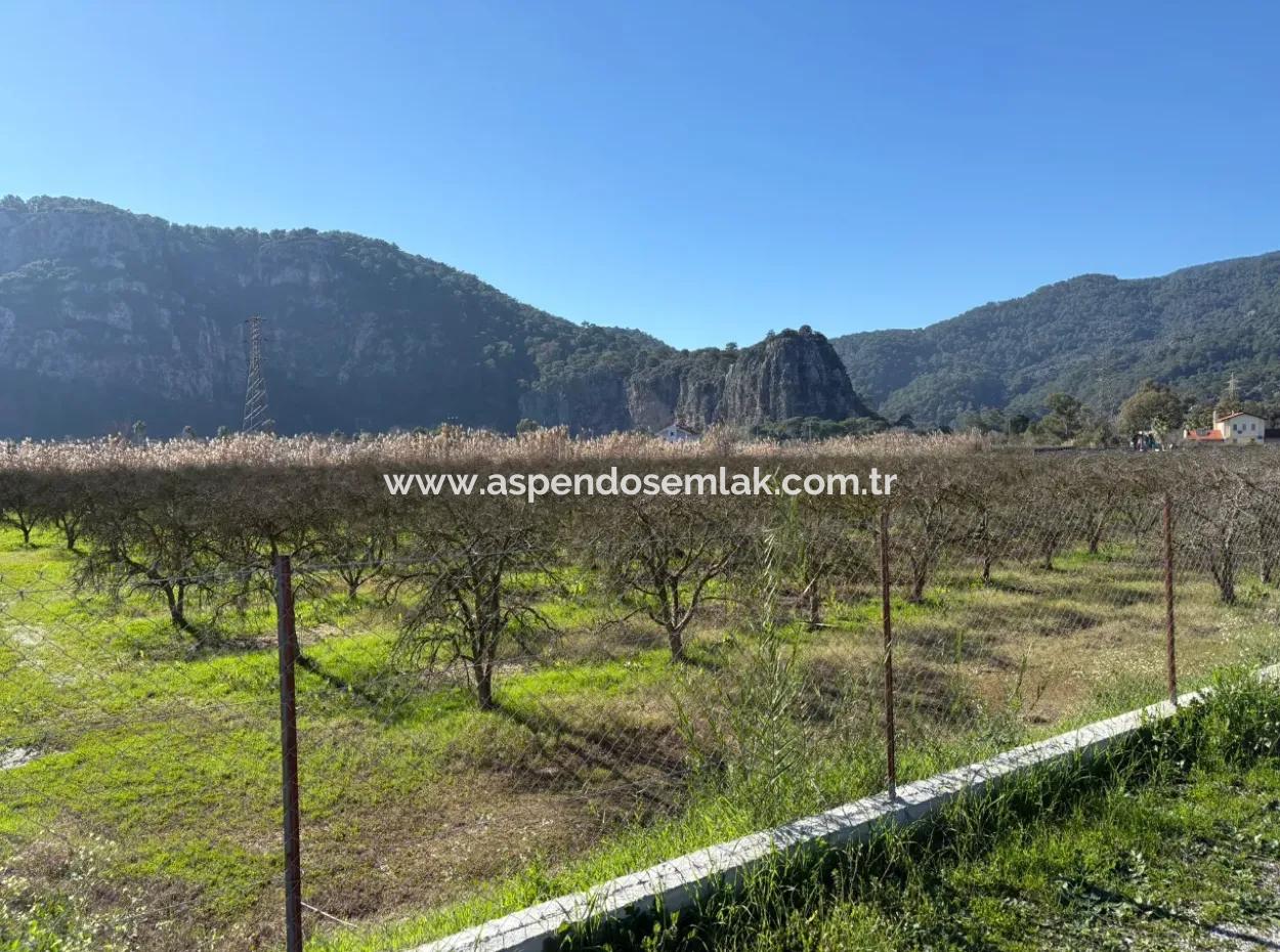 5985M2 5% Zoned Land For Sale In Dalyan As Vineyard Garden