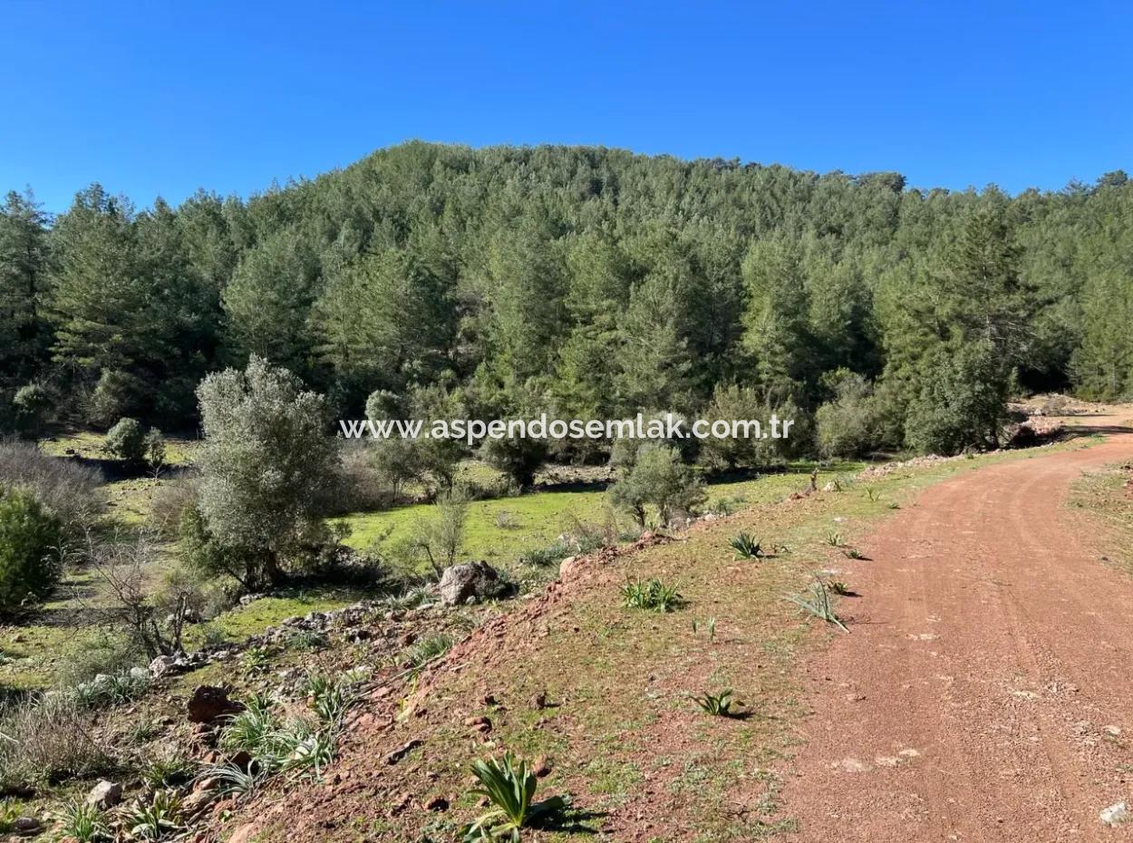 Land For Sale In Nature And Forest In Gökbel