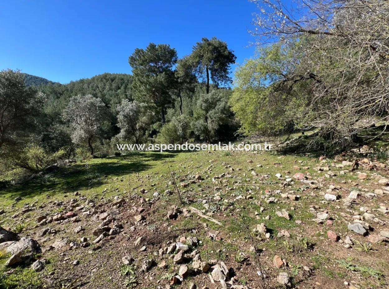 Land For Sale In Nature And Forest In Gökbel