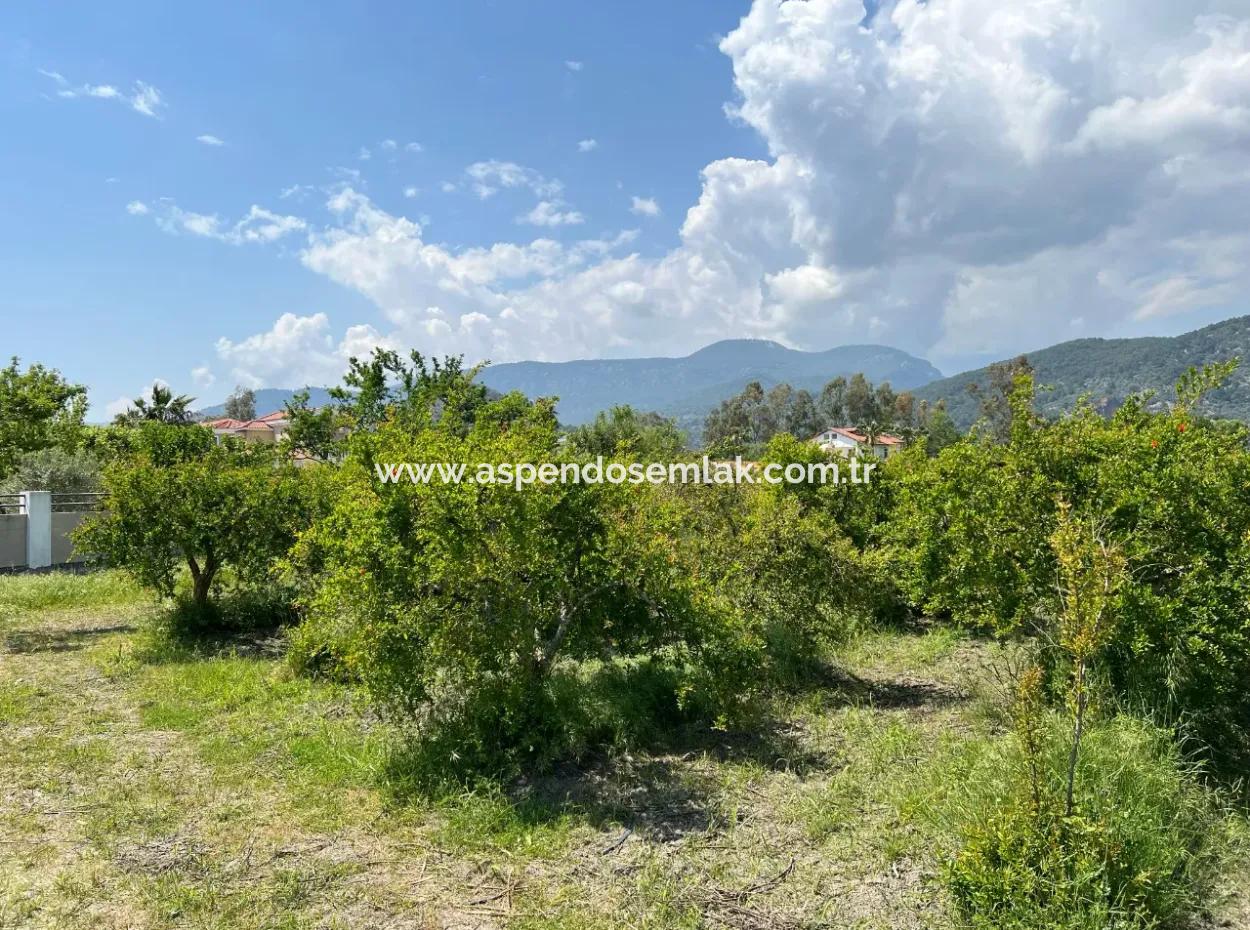 5,100M2 Land For Sale In Dalyan Maraş Area With 5% Residential Zoning