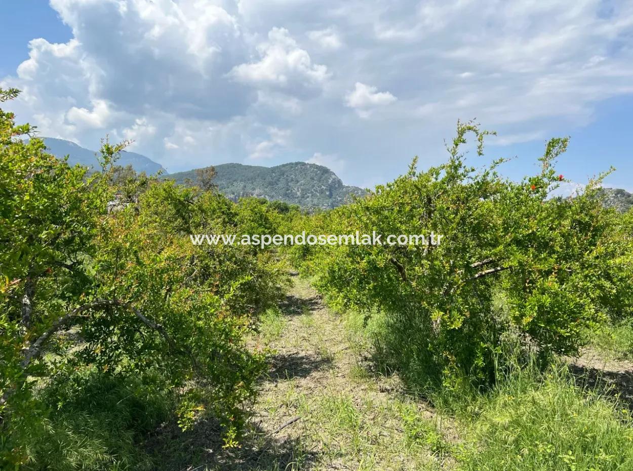 5,100M2 Land For Sale In Dalyan Maraş Area With 5% Residential Zoning