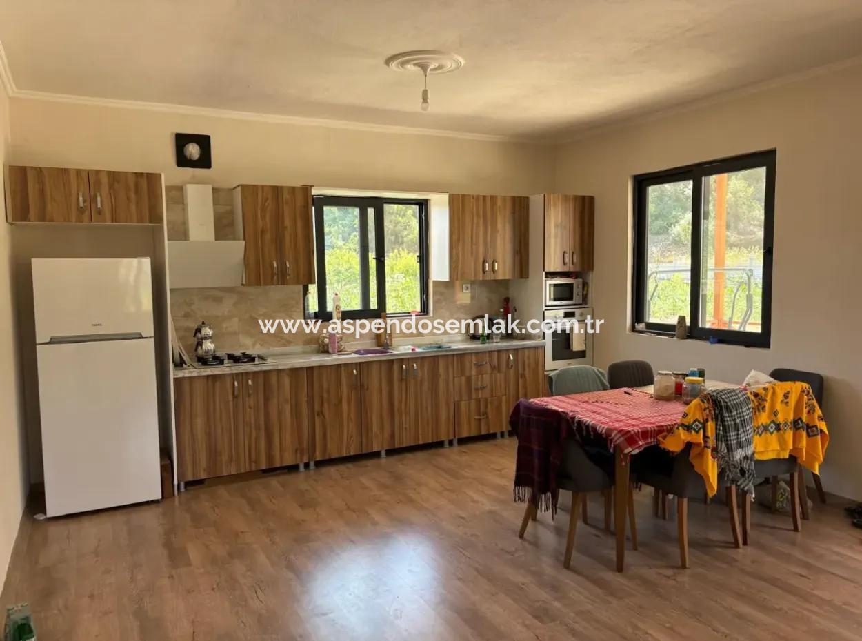 120M2 Detached Wooden House In A 2500M2 Field In Dalyan Karadağ