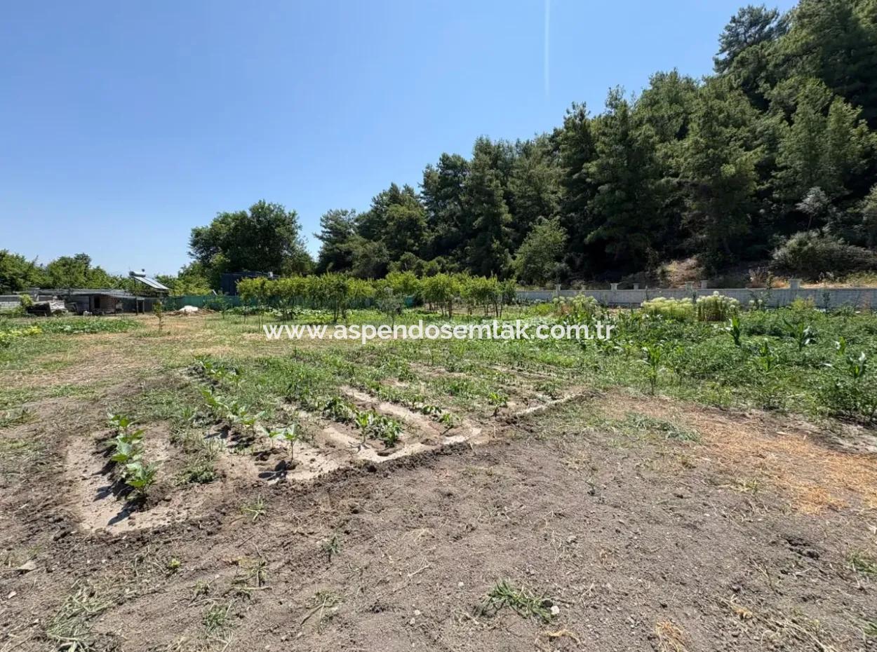 120M2 Detached Wooden House In A 2500M2 Field In Dalyan Karadağ