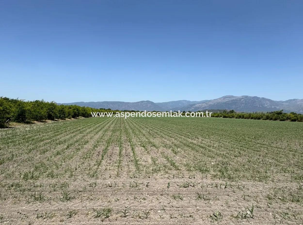 46,550M2 Land For Sale In Tepearası
