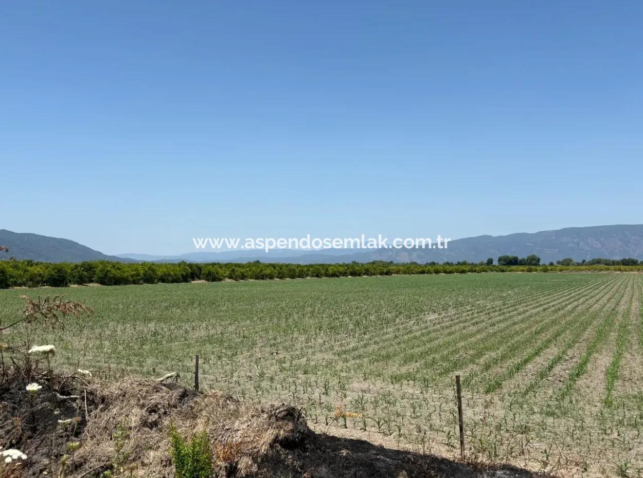 46,550M2 Land For Sale In Tepearası