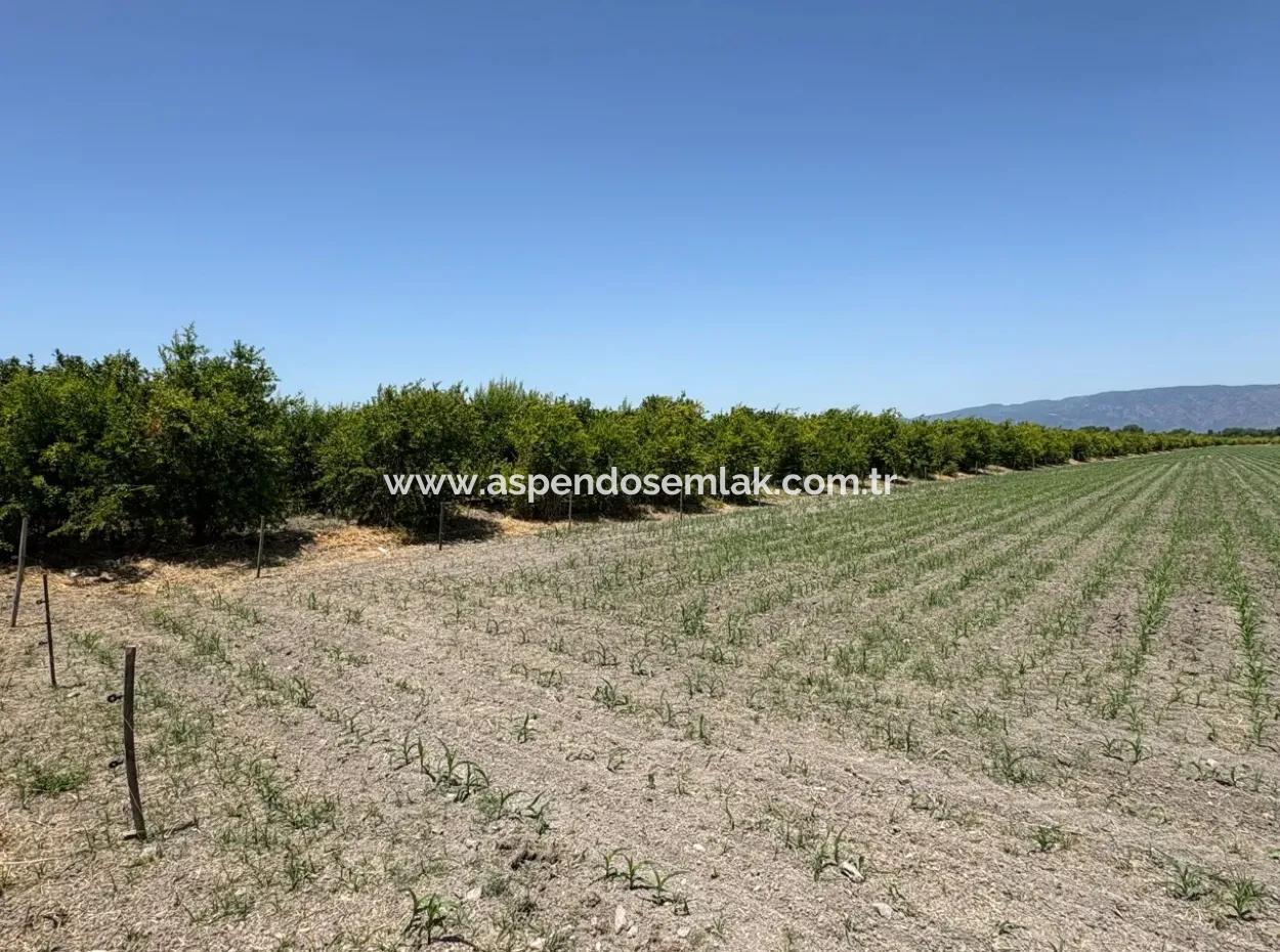46,550M2 Land For Sale In Tepearası