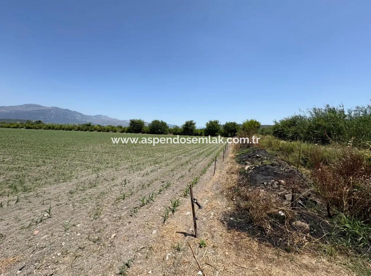 46,550M2 Land For Sale In Tepearası