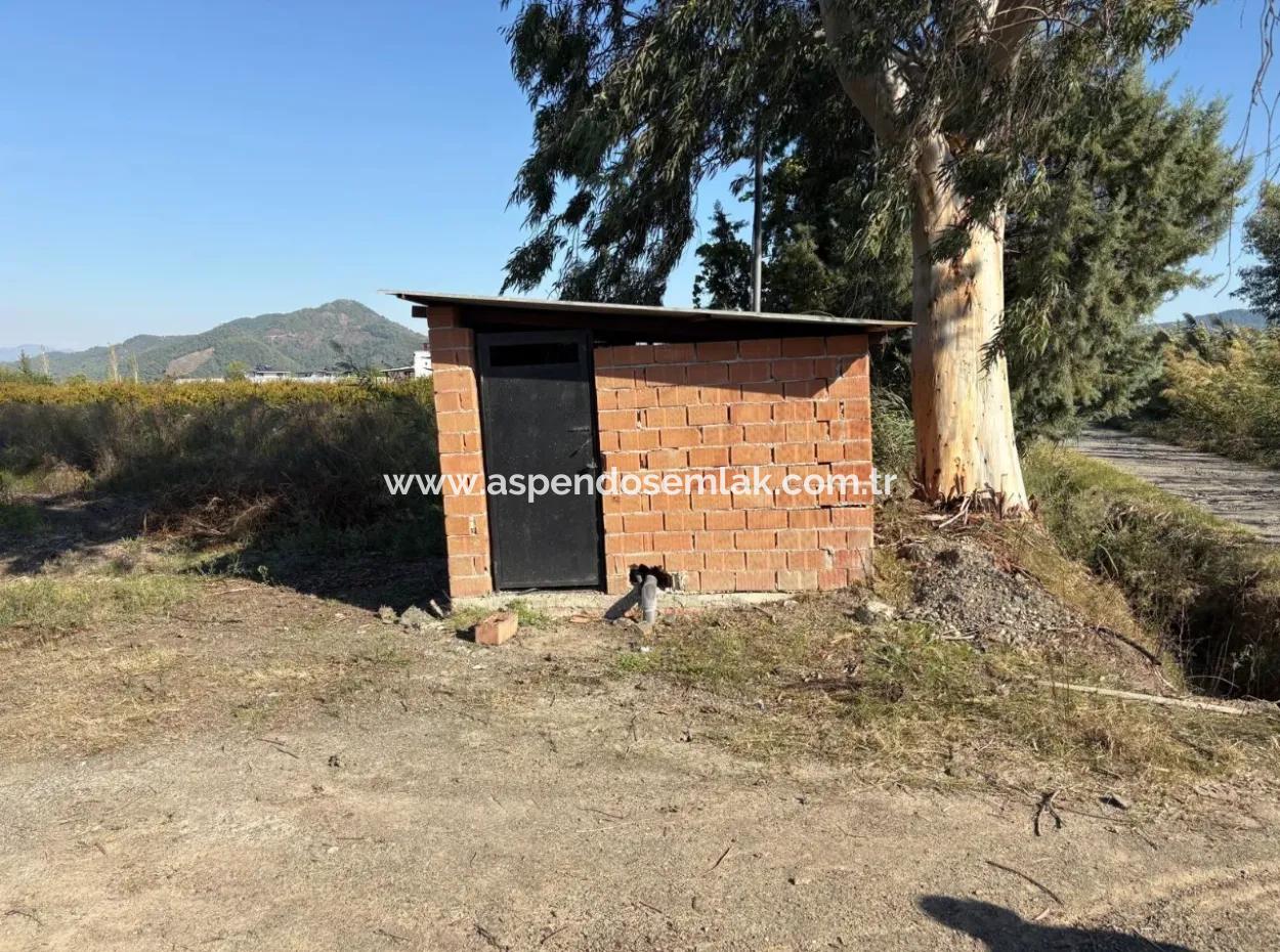 21500M2 Pomegranate Orchard For Sale In Eskiköy