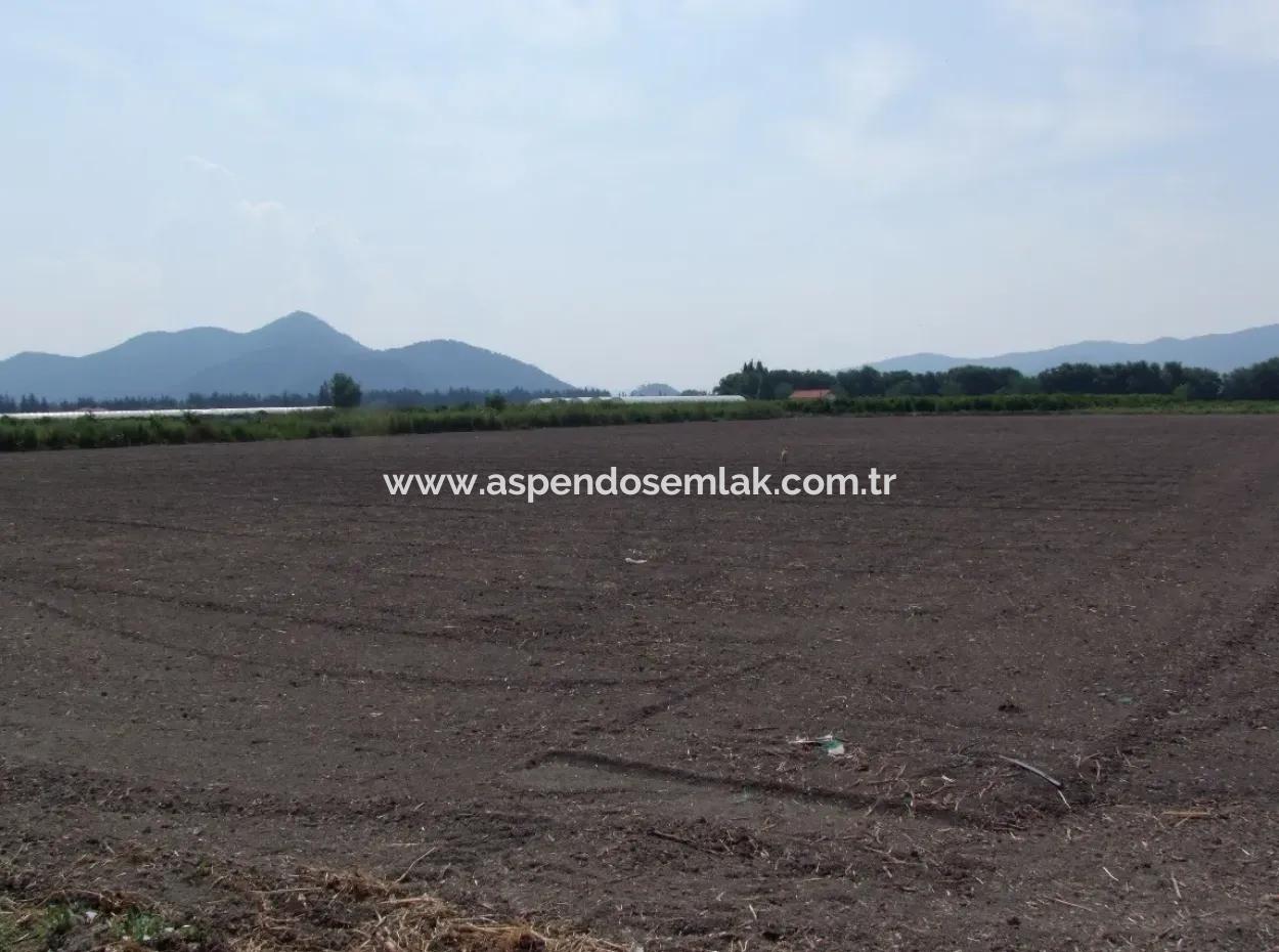 Farm For Sale In Dalyan Eskikoy Eskikoy Oriya 14,900M2 Plot For Sale Field