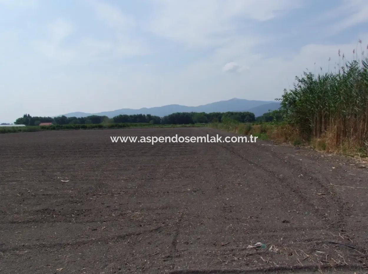 Farm For Sale In Dalyan Eskikoy Eskikoy Oriya 14,900M2 Plot For Sale Field
