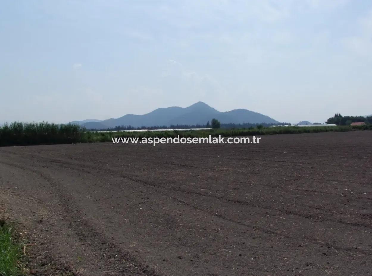 Farm For Sale In Dalyan Eskikoy Eskikoy Oriya 14,900M2 Plot For Sale Field